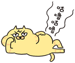 763701996