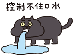 763702002