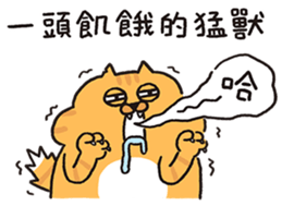 763702003