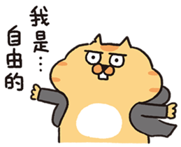 763702005