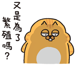 763702009