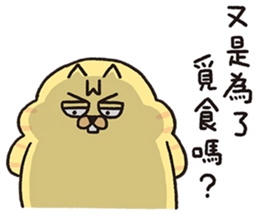 763702010