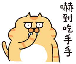 763702016