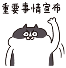 763702021