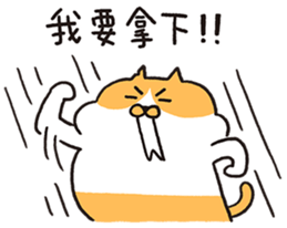 763702023