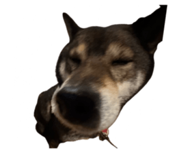 763705800