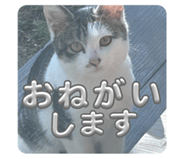 763709517
