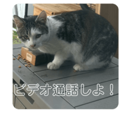 763709536