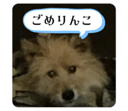 763709539