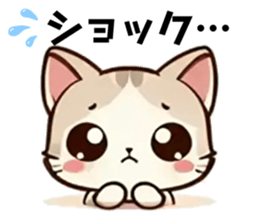 763710304