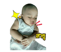 76371456