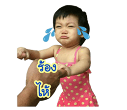 76371457