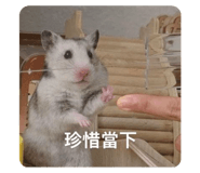 763714810