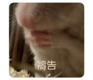 763714816