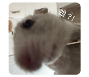 763714822
