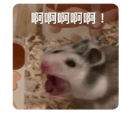 763714824