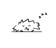 763719260