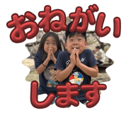 763732654