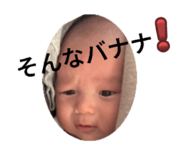 763733716