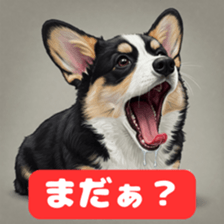 763742970
