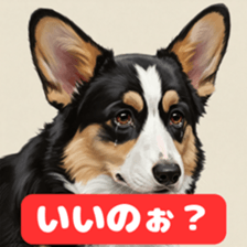 763742972