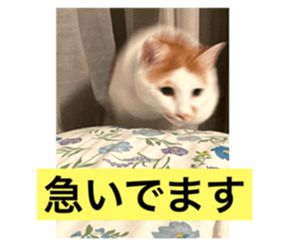 763751720