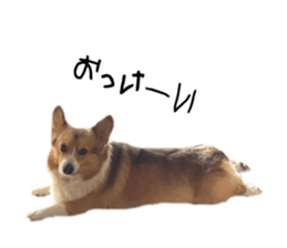 763756169