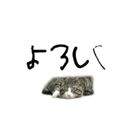 763756191