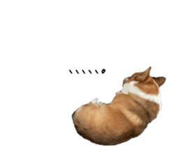 763756196