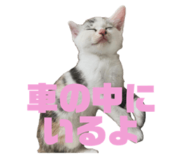 763763730