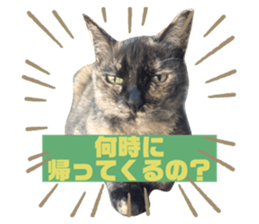 763774111