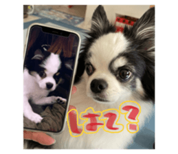 763775763