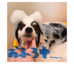 763775767