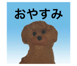 763780241