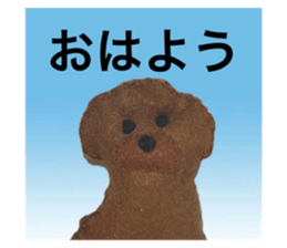 763780242