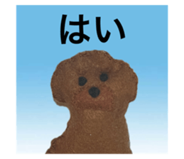 763780245