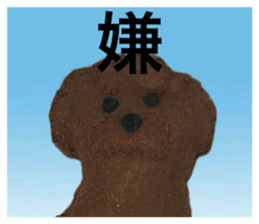 763780247