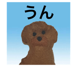763780251