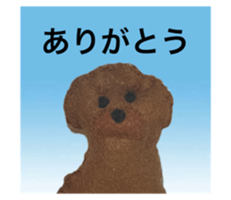 763780253