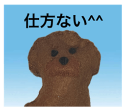 763780254