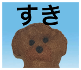 763780256