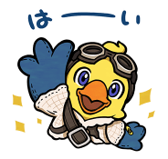 763780507