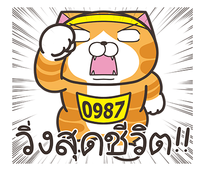 เหมียวซ่า: ลุย ลุย ลุย! รูปที่ 1