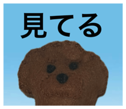 763788625
