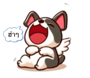 763805083