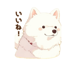 763807639