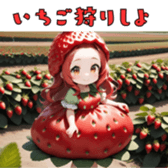 763807670