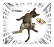 763808546