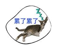 763808551