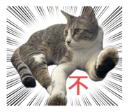 763808559